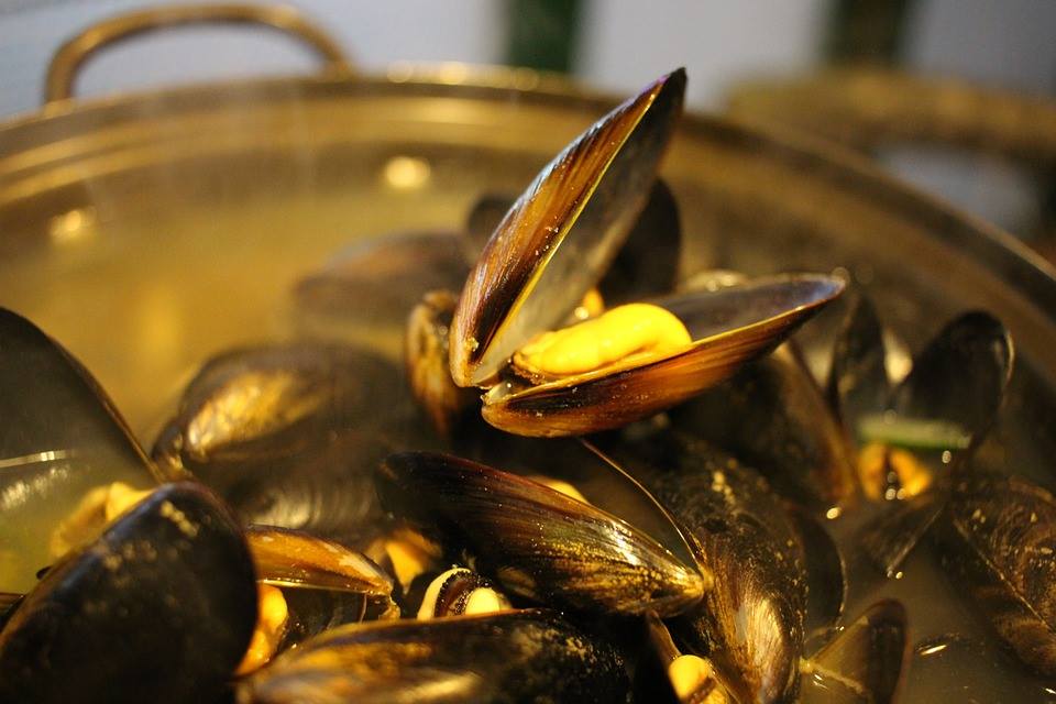 Cozze