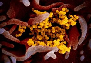 Coronavirus
