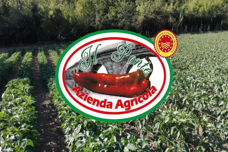 Azienda agricola il Ponte