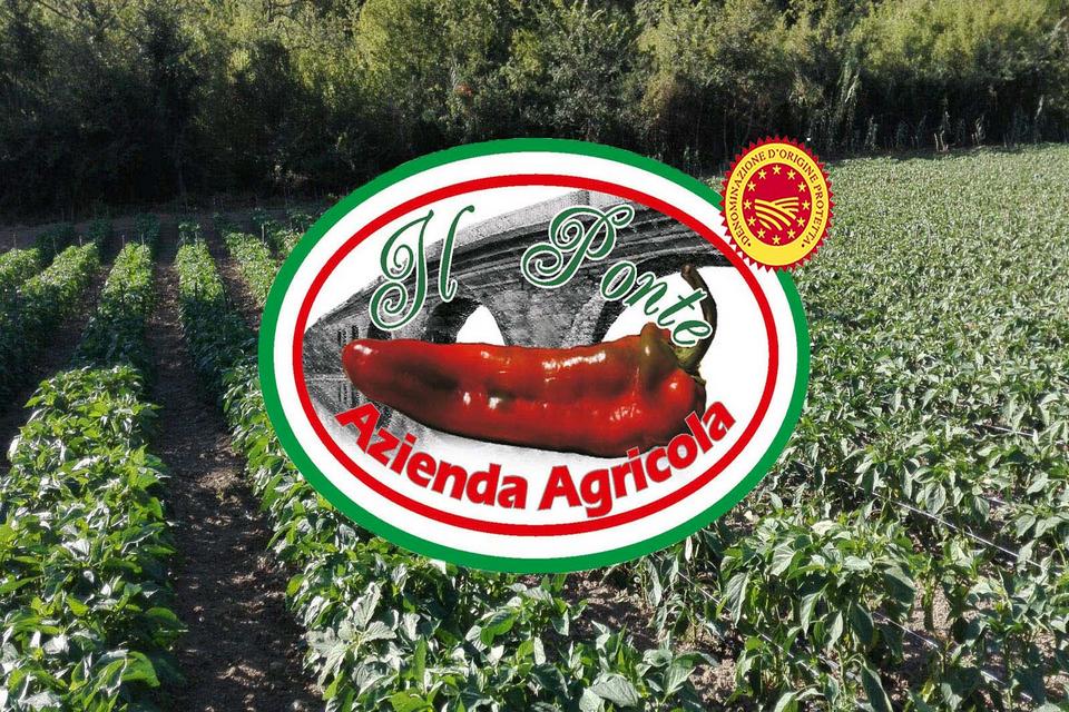 Azienda agricola il Ponte
