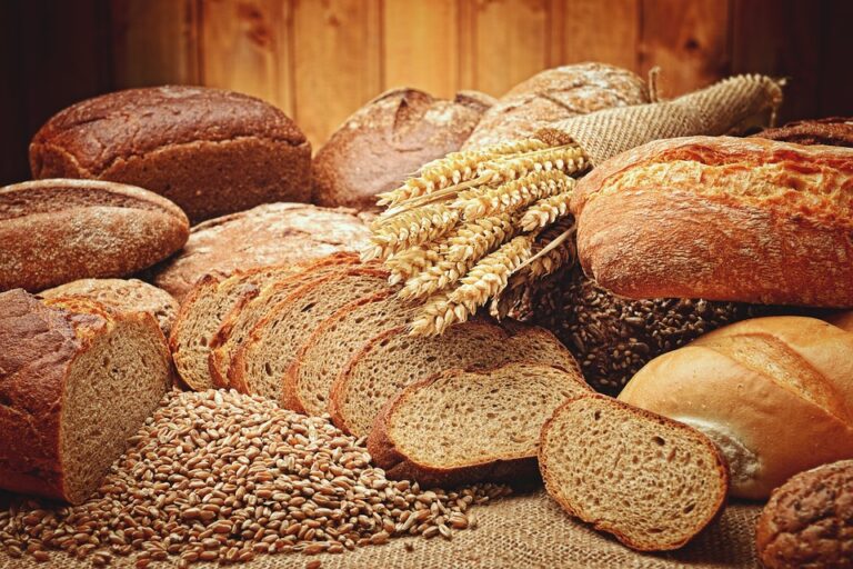 Pane, nutrimento e simbolo