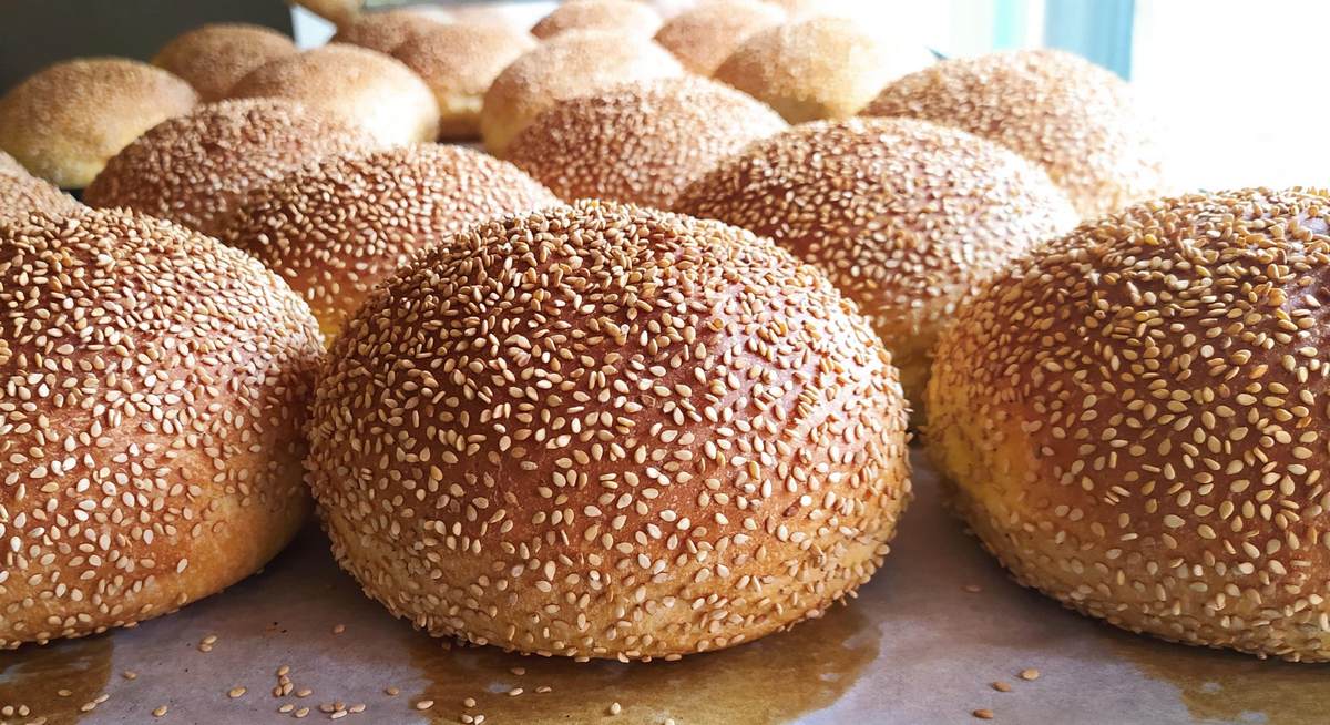 Burger Buns