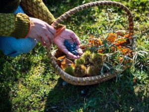 Foraging
