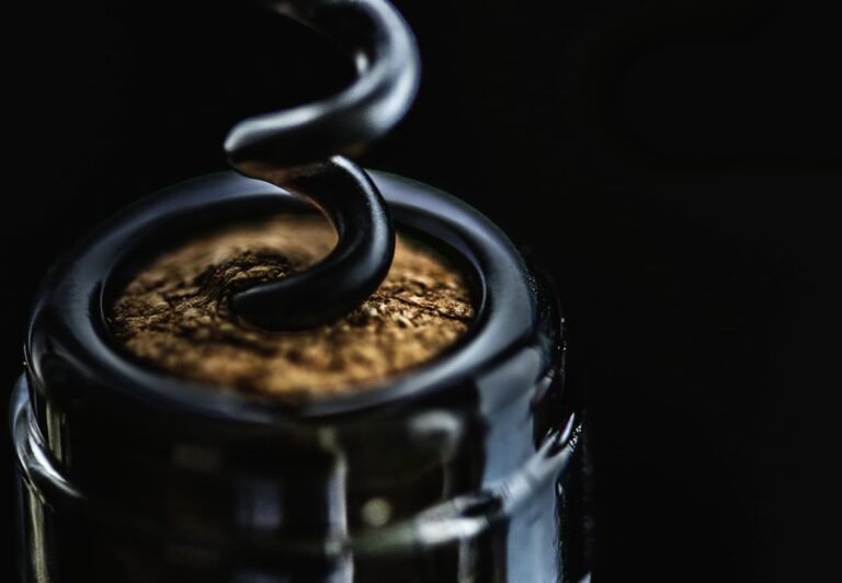 Le aziende vitivinicole ciociare protagoniste al Vinitaly