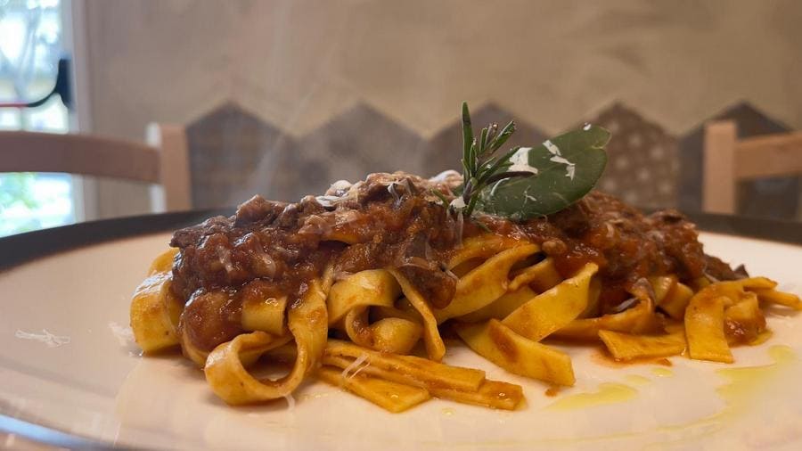 Fettuccine con rigaglie di pollo