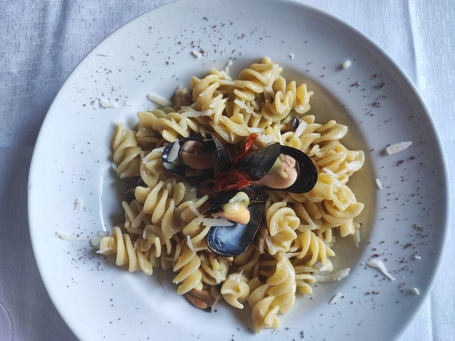 Fusillone con cozze e pecorino su crema di fave