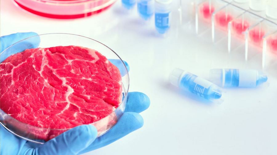 carne coltivata