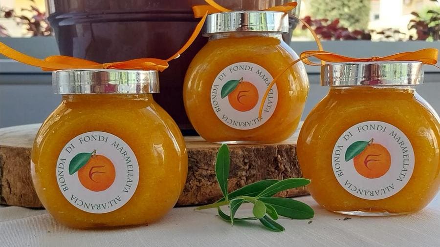 marmellata di arancia bionda di fondi