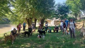 Dog trekking a 6 zampe