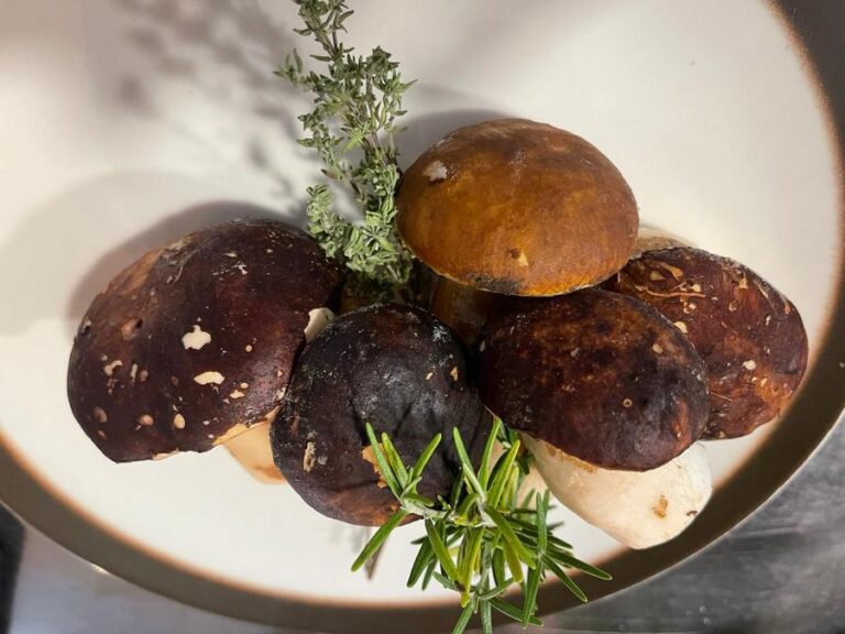 Risotto ai funghi porcini