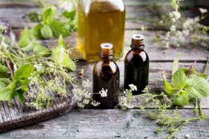 Olio evo nelle fitopreparazioni