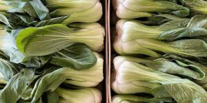 Pak Choi con borlotto e verdurine al vapore