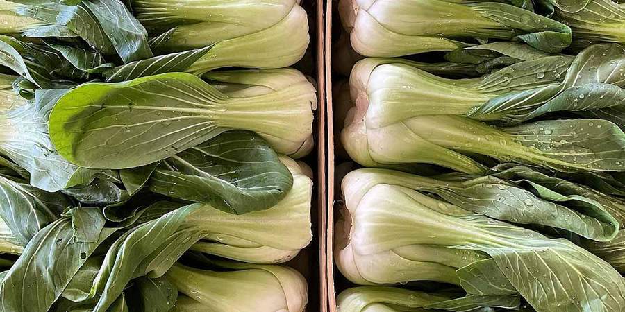 Pak Choi con borlotto e verdurine al vapore