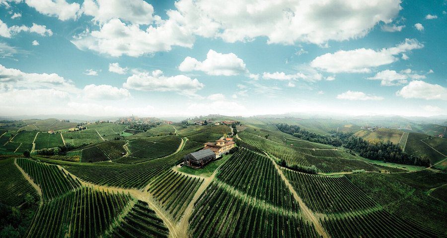 Panorama di vigna piemontese