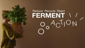 Fermentazione, fonte di Umami