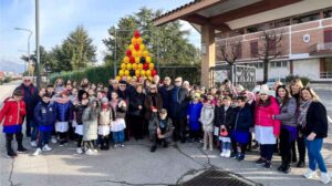 L’albero della Sicurezza a Frosinone