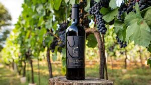 Cantina Monticiana - Vino naturale