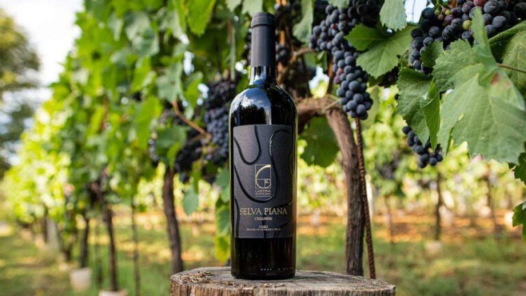 Cantina Monticiana - Vino naturale