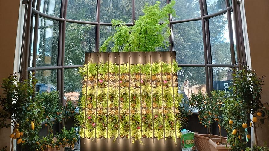 Natura al Flora cult delle Fendi