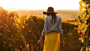 un viaggio dall'ingegneria al mondo del vino_