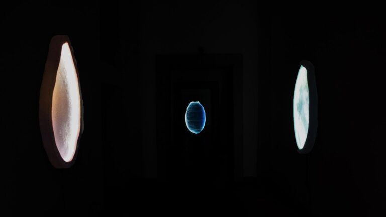 Intervista a Francesco SaverioTeruzzi di Alice Ceccarelli