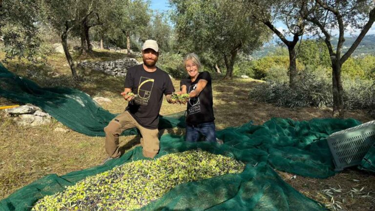 Fabio Marra: l’olio della Ciociaria conquista le stelle
