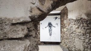 Ilona Dell’Olio Respirare in orbita