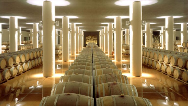 La Cantina Mazzei: un gioiello toscano solo da MIDA Group