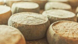 Pecorino di Picinisco DOP: eccellenza della Ciociaria