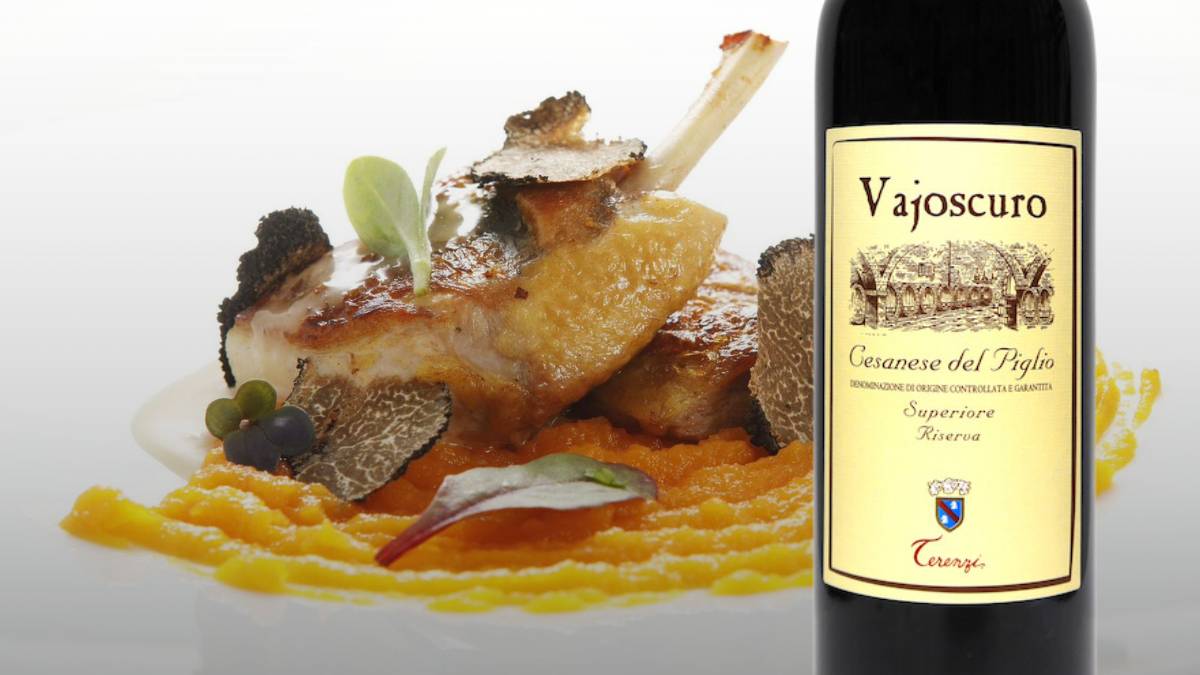 Petto di faraona farcito con porcini e castagne: abbinamento con il Vajoscuro Cesanese del Piglio D.O.C.G. Superiore Riserva di Giovanni Terenzi