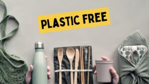 Un impegno concreto per un futuro sostenibile Ciociaria&Cucina guarda al 2025