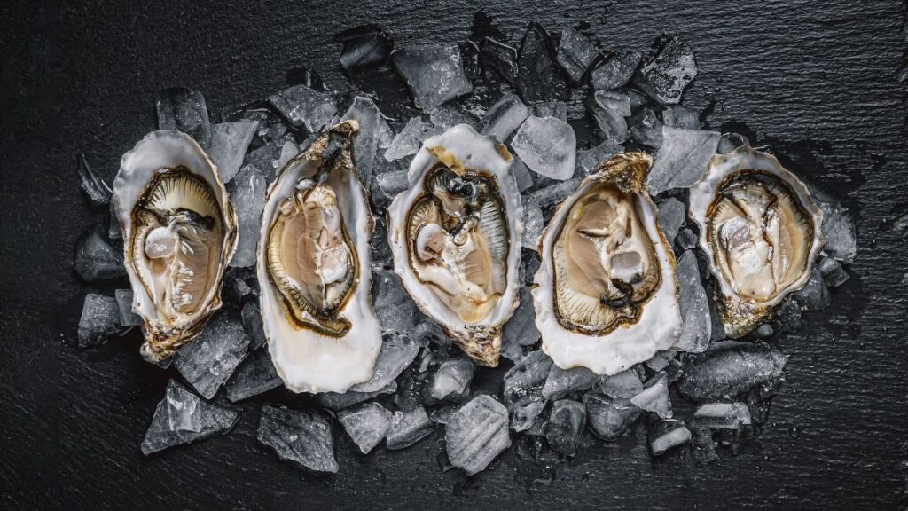 Ostriche l'eleganza del mare e la loro sorprendente versatilità in cucina