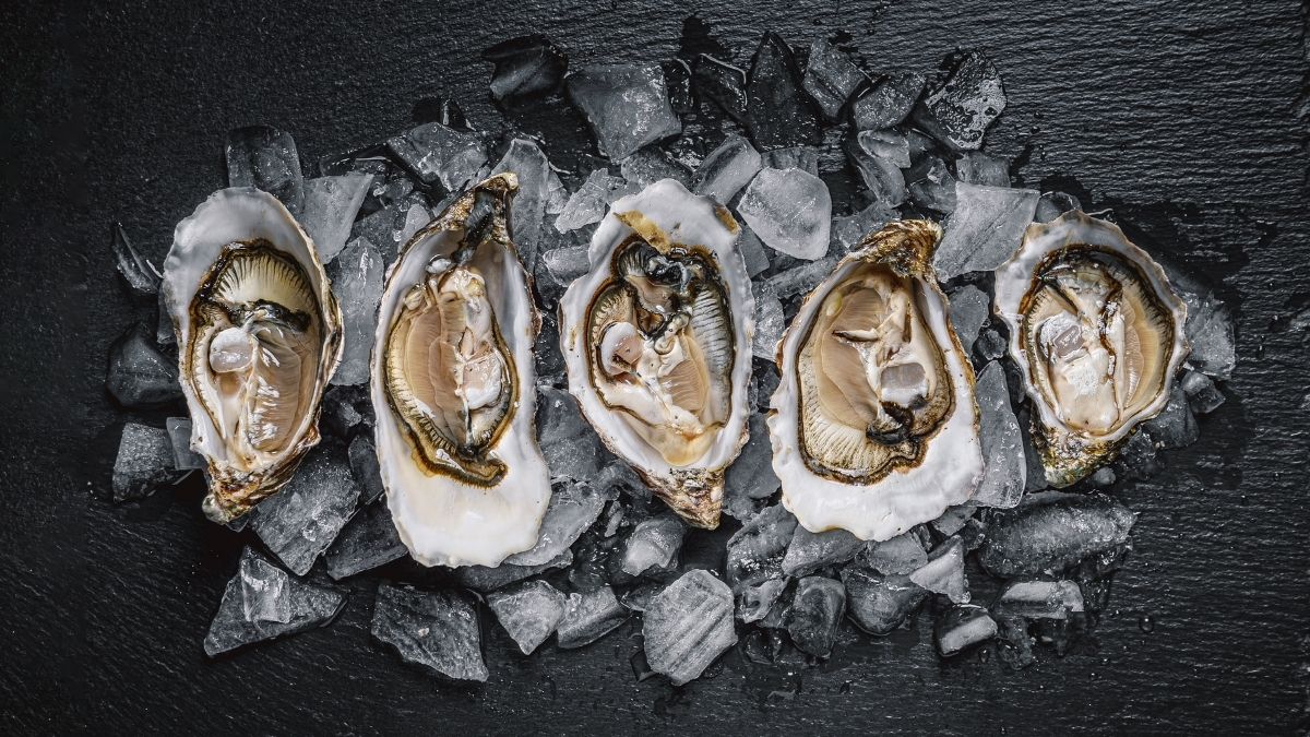Ostriche l'eleganza del mare e la loro sorprendente versatilità in cucina