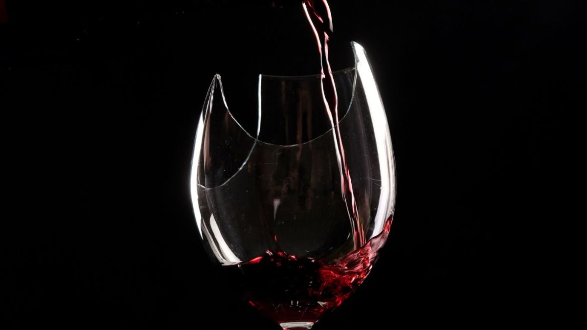 La guida essenziale per una degustazione impeccabile (e infrangibile)