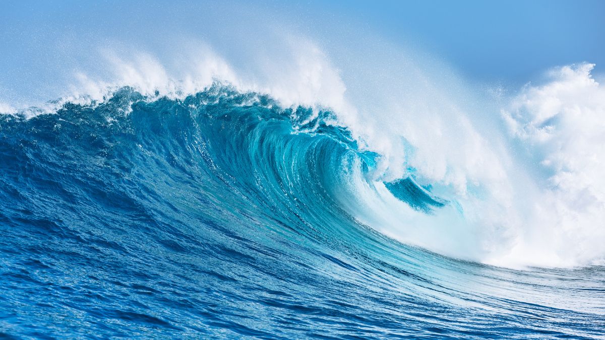 Ripuliamo l'oceano, un rifiuto alla volta il sensibile impegno di Duferco Energia