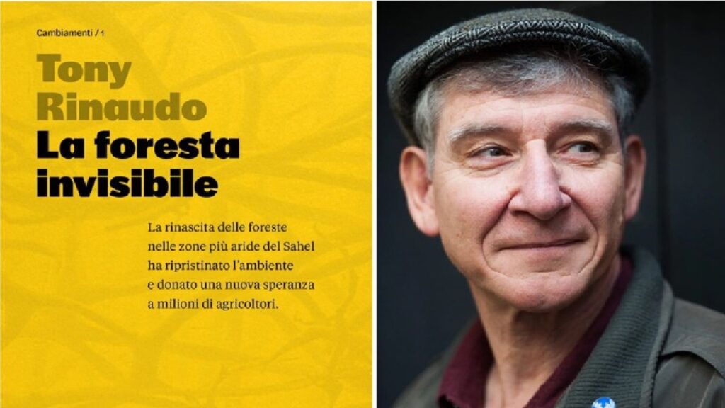 La foresta invisibile