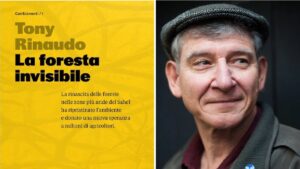 La foresta invisibile