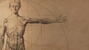 Il maiale didattico