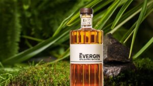 Evergin l'evoluzione del gin artigianale