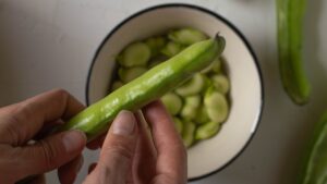 Insalata tiepida di orzo, fave fresche, zucchine e menta