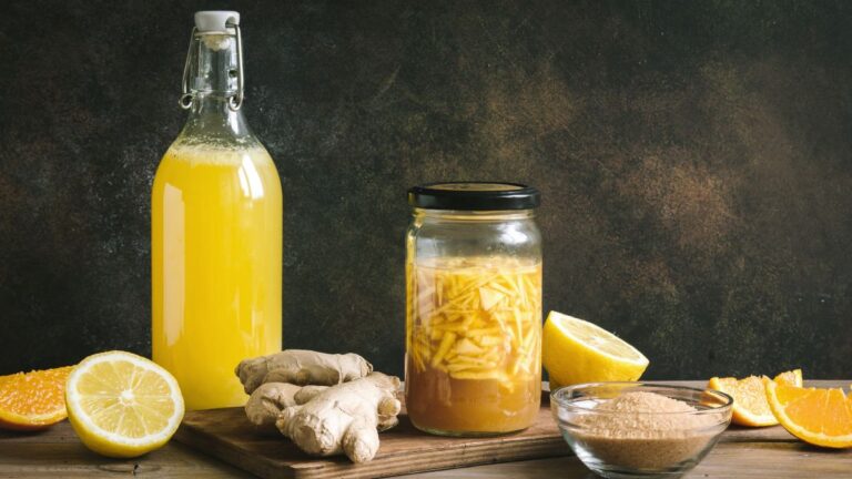 Bollicine naturali fatte in casa il fermento dell’estate si chiama ginger bug di Marie Joveneau
