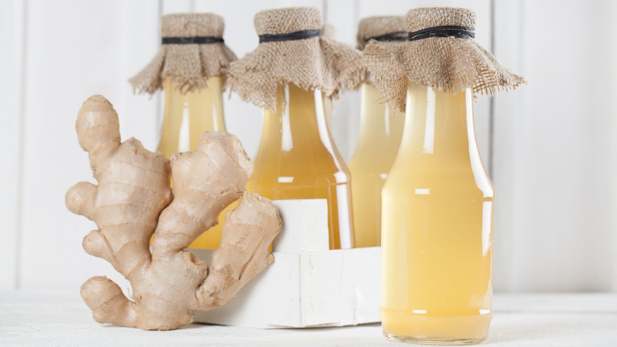 Ginger Bug: come avviare la tua coltura viva e frizzante per l’estate