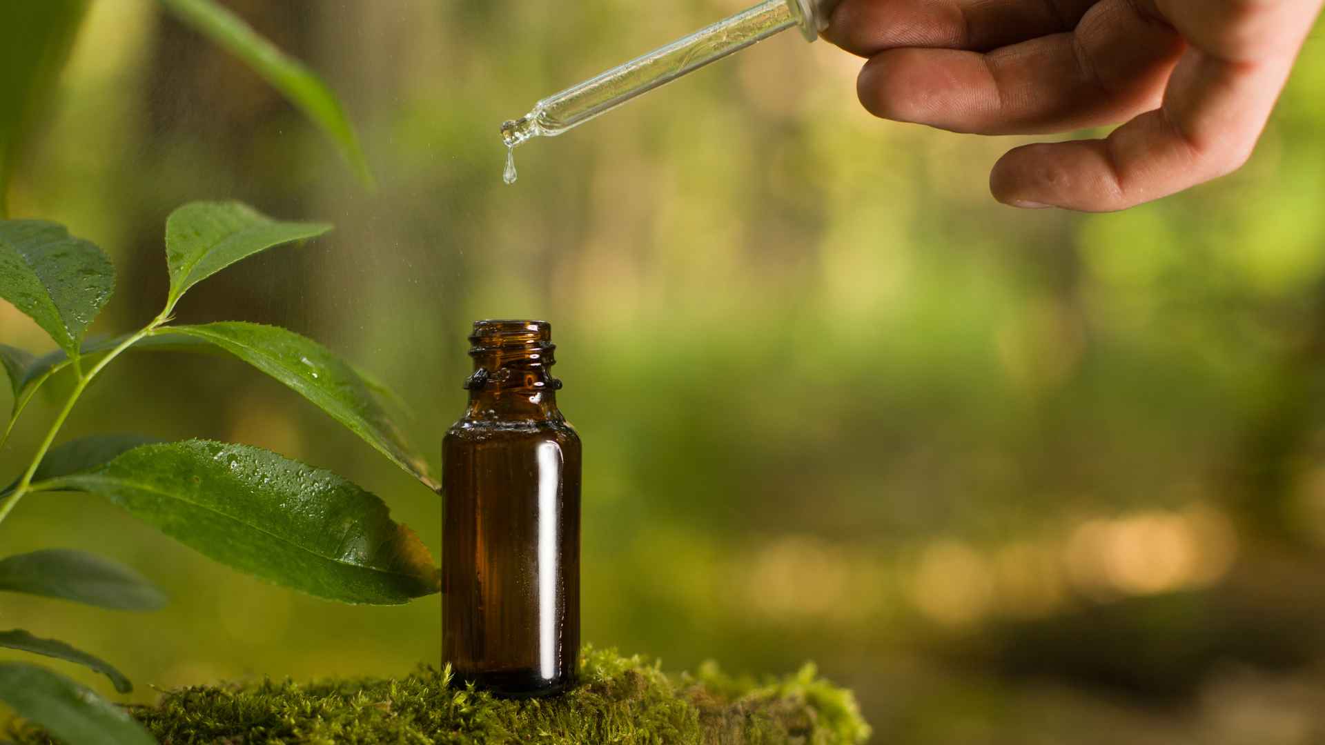 Melatonina il rimedio naturale per contrastare l’invecchiamento del Dr Antonio Colasanti