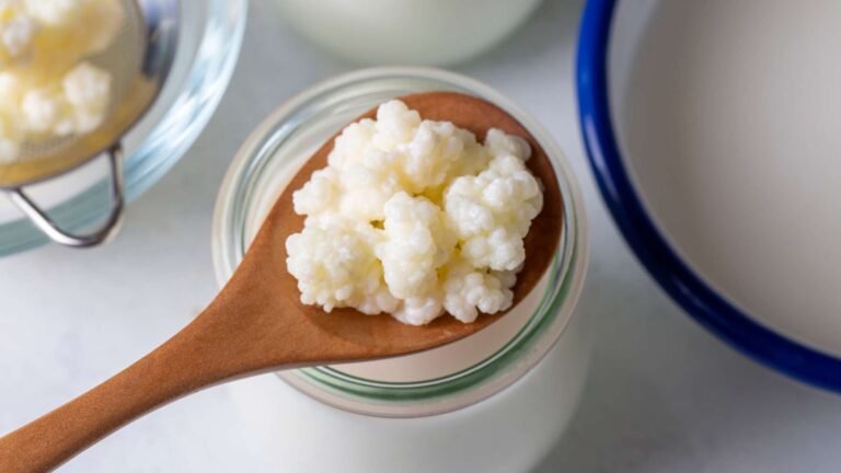 Dal kefir al miso le virtù dei fermenti di antonio colasanti