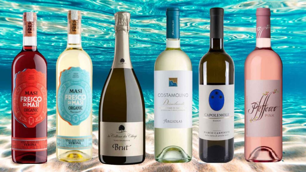 I vini da bere a ferragosto: raccontati sotto le stelle