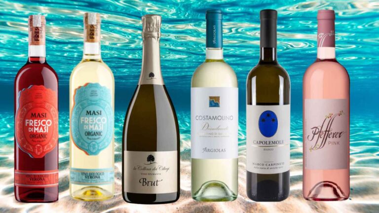 I vini da bere a ferragosto: raccontati sotto le stelle