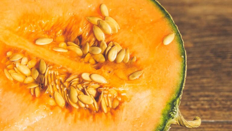 Latte di semi di melone: la bevanda antispreco che sorprende