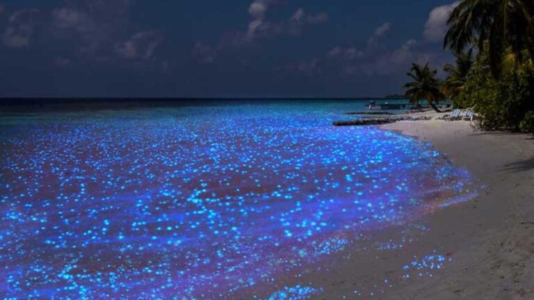 Spiagge da sogno: i luoghi più sorprendenti del mondo