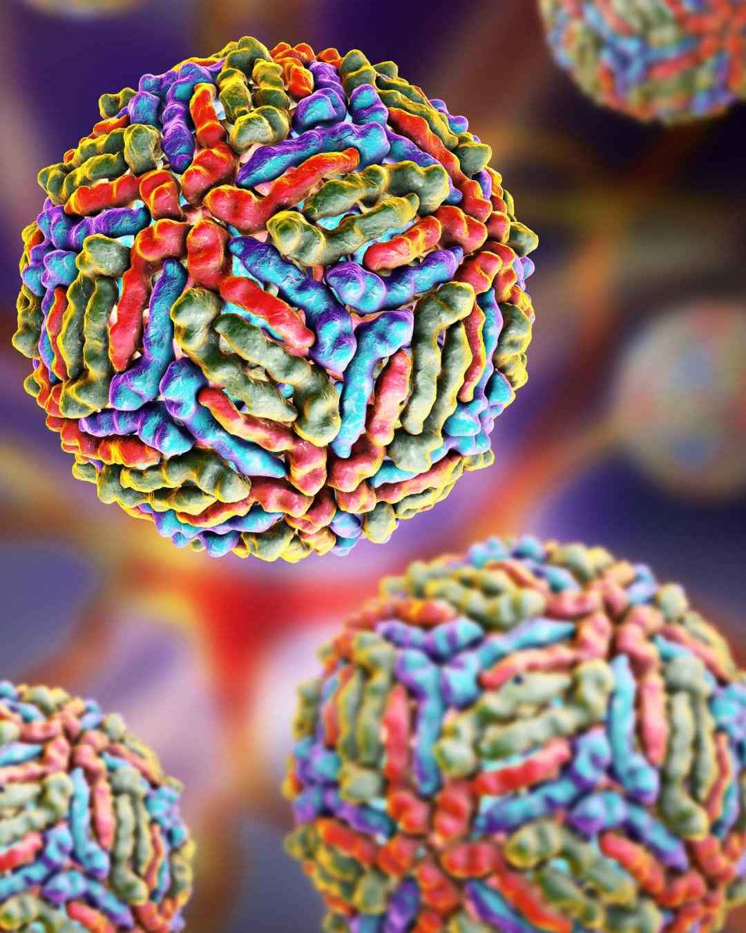West Nile, tra verità scientifica e allarmismi mediatici di Antonio Colasanti