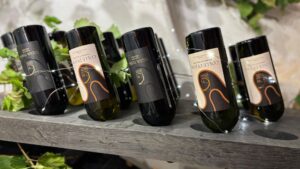 Cantina Monticiana la vendemmia che porta la Ciociaria nel mondo